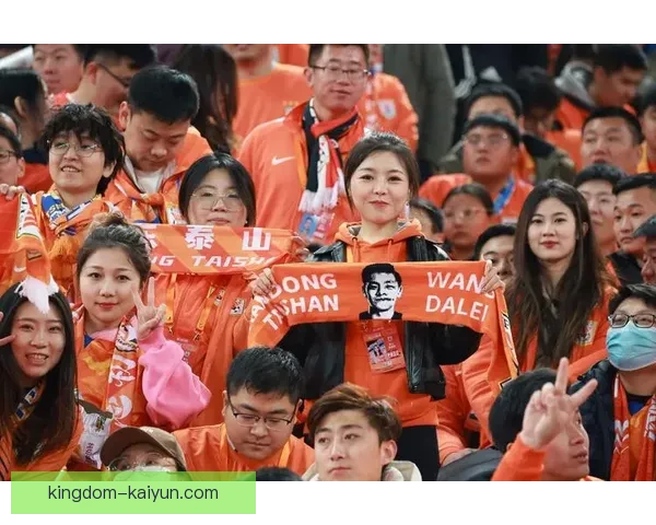 山东泰山双线作战